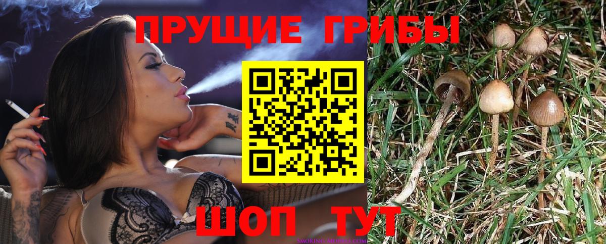 Знаменск  Псилоцибиновые грибы ЛСД  Вход с VPN 