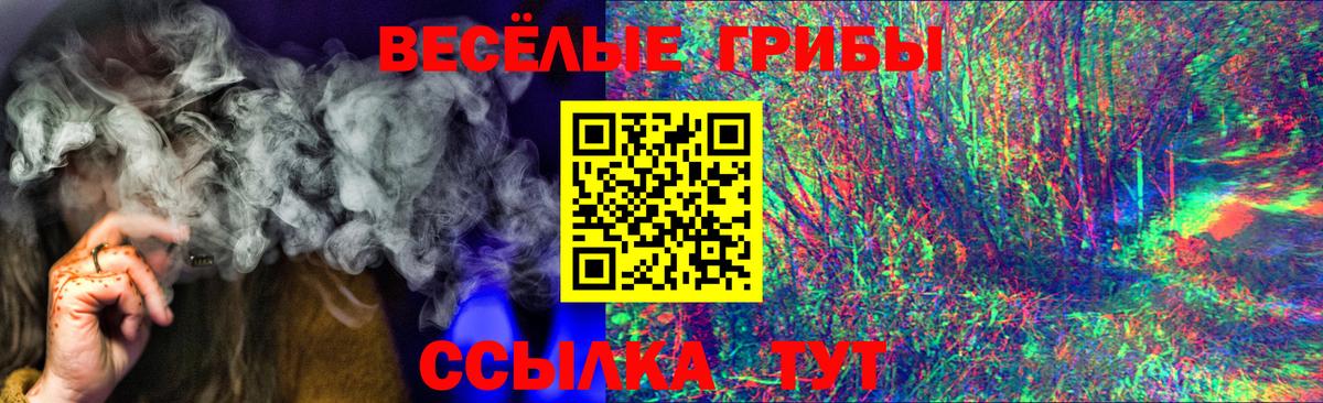 Галлюциногенные грибы GOLDEN TEACHER Знаменск